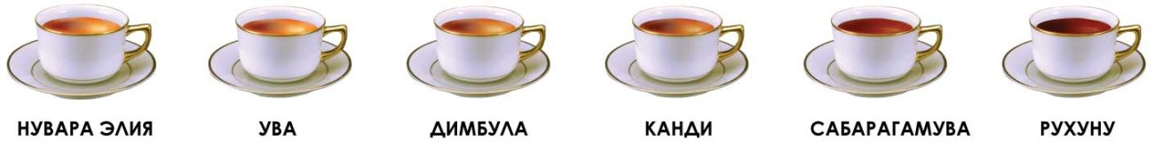 6-tea-sri-lanka-types